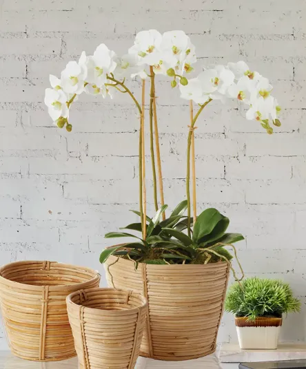 16" faux triple mini phalaenopsis orchid