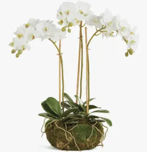 16" faux triple mini phalaenopsis orchid