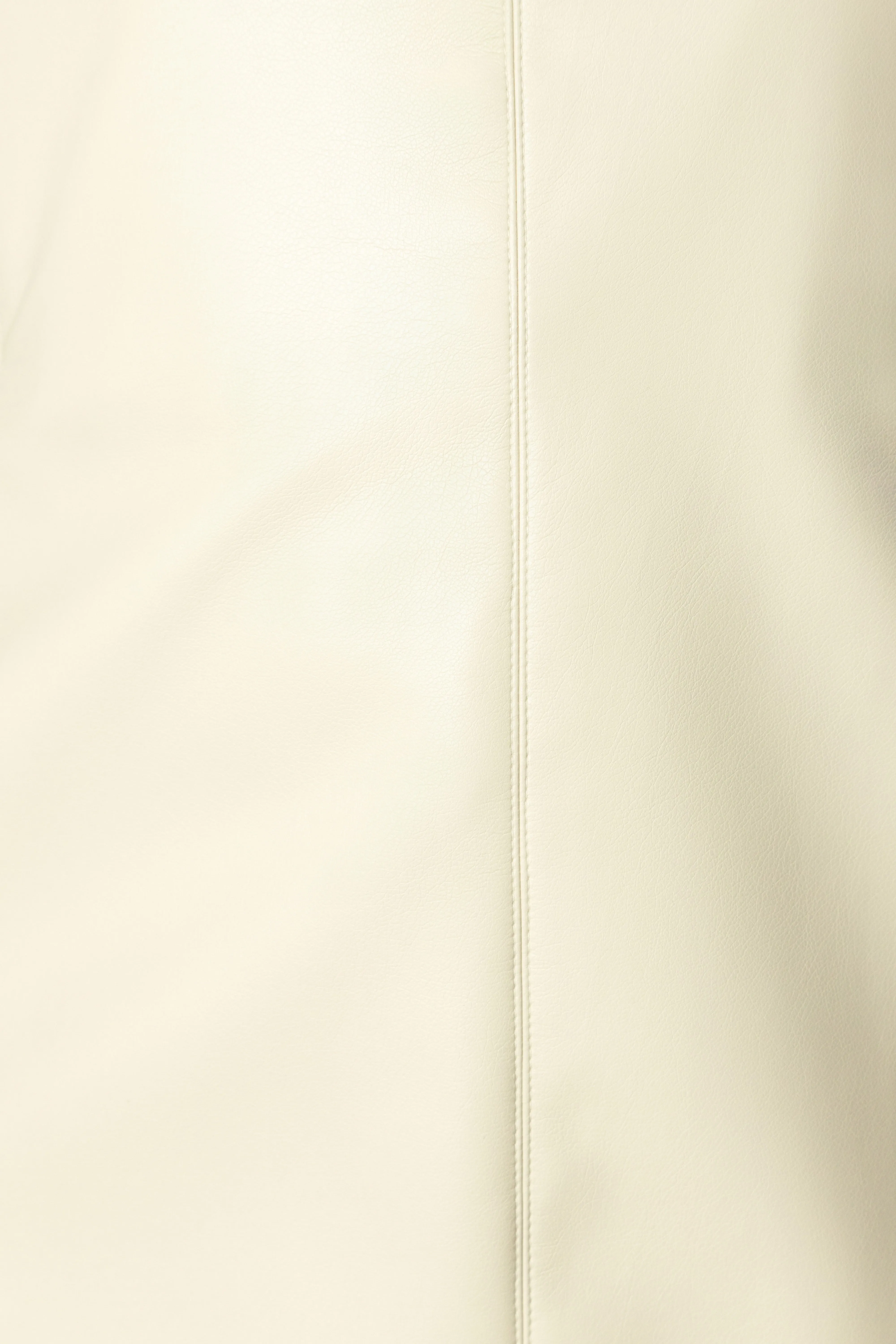 EOS Asymmetric Leather Skirt