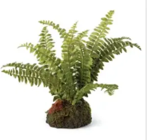 faux boston fern drop in plant