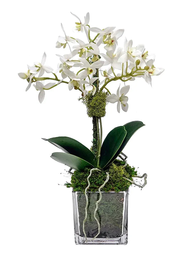 Faux Mini White Orchid