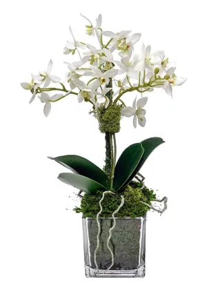 Faux Mini White Orchid