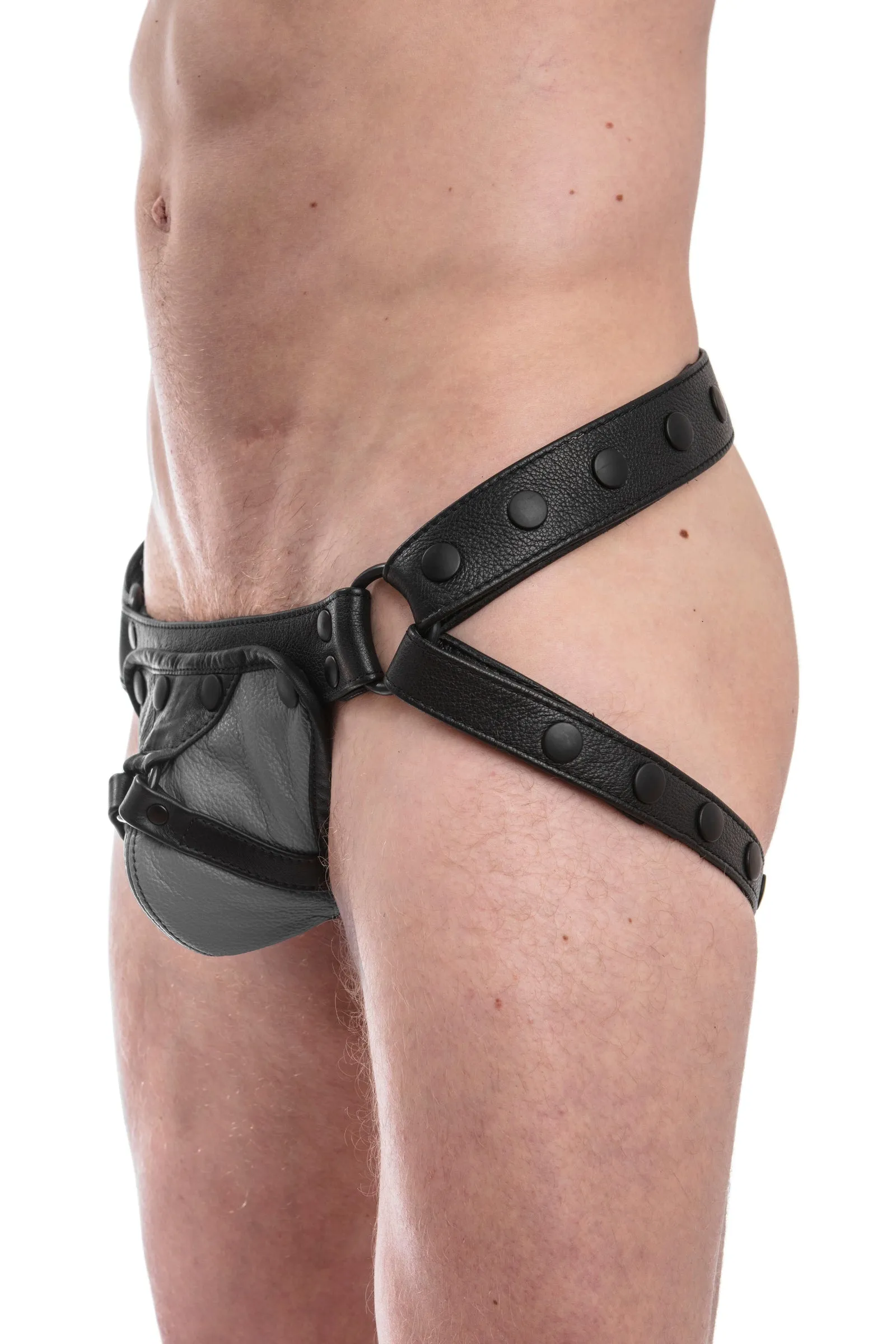 HARNESS JOCK - Colour 1.0