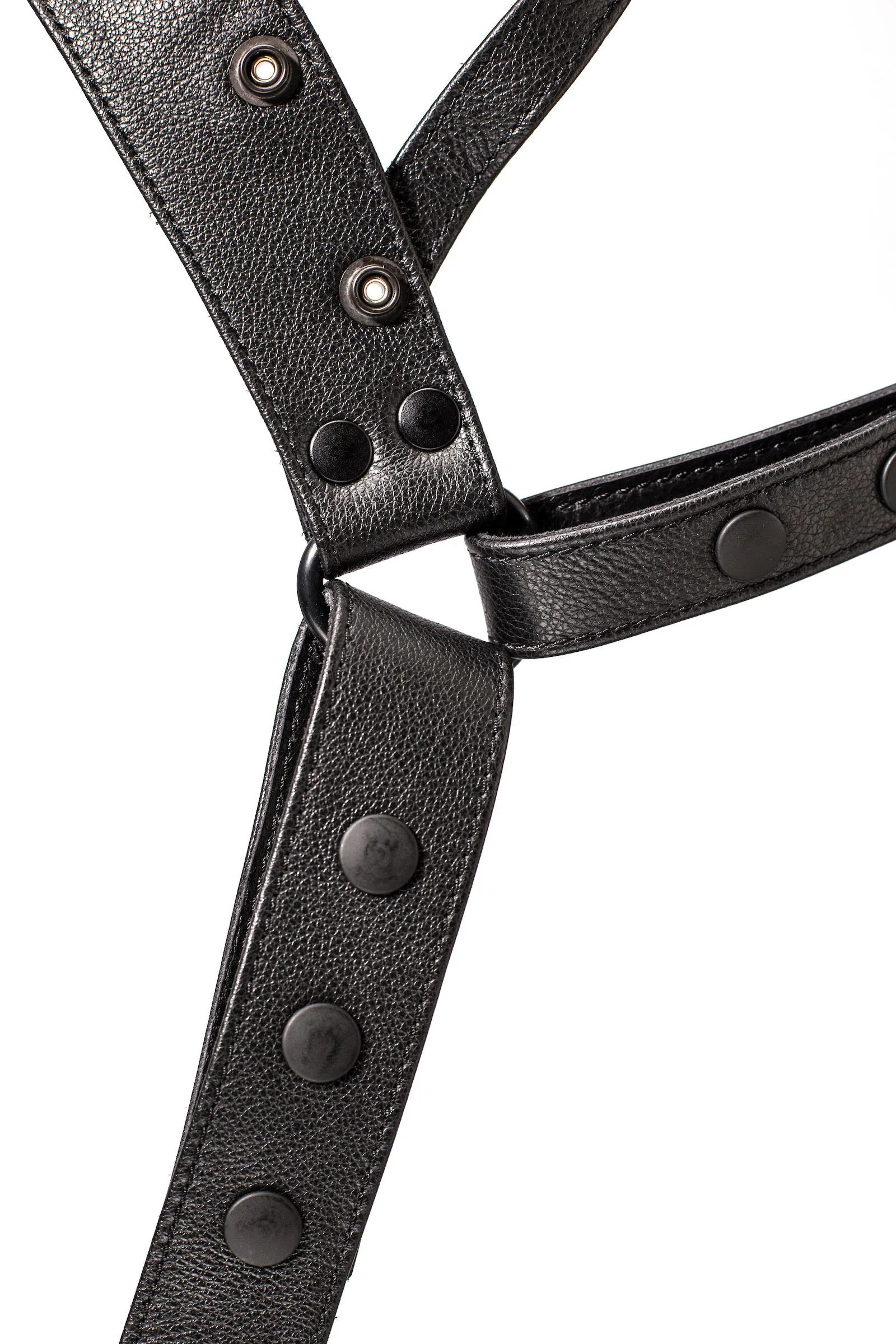 HARNESS JOCK - Colour 1.0