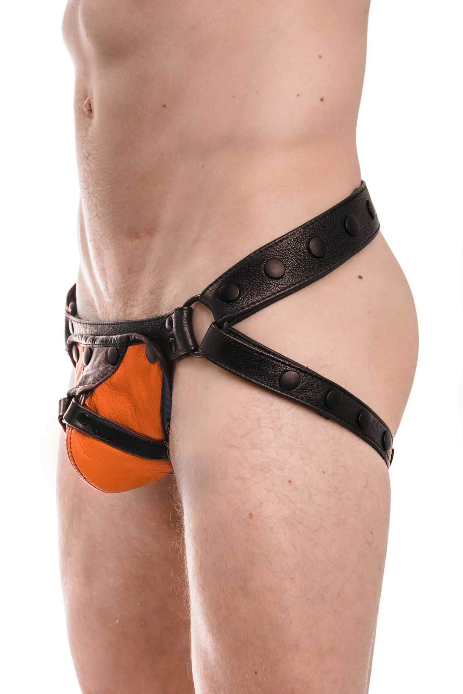 HARNESS JOCK - Colour 1.0