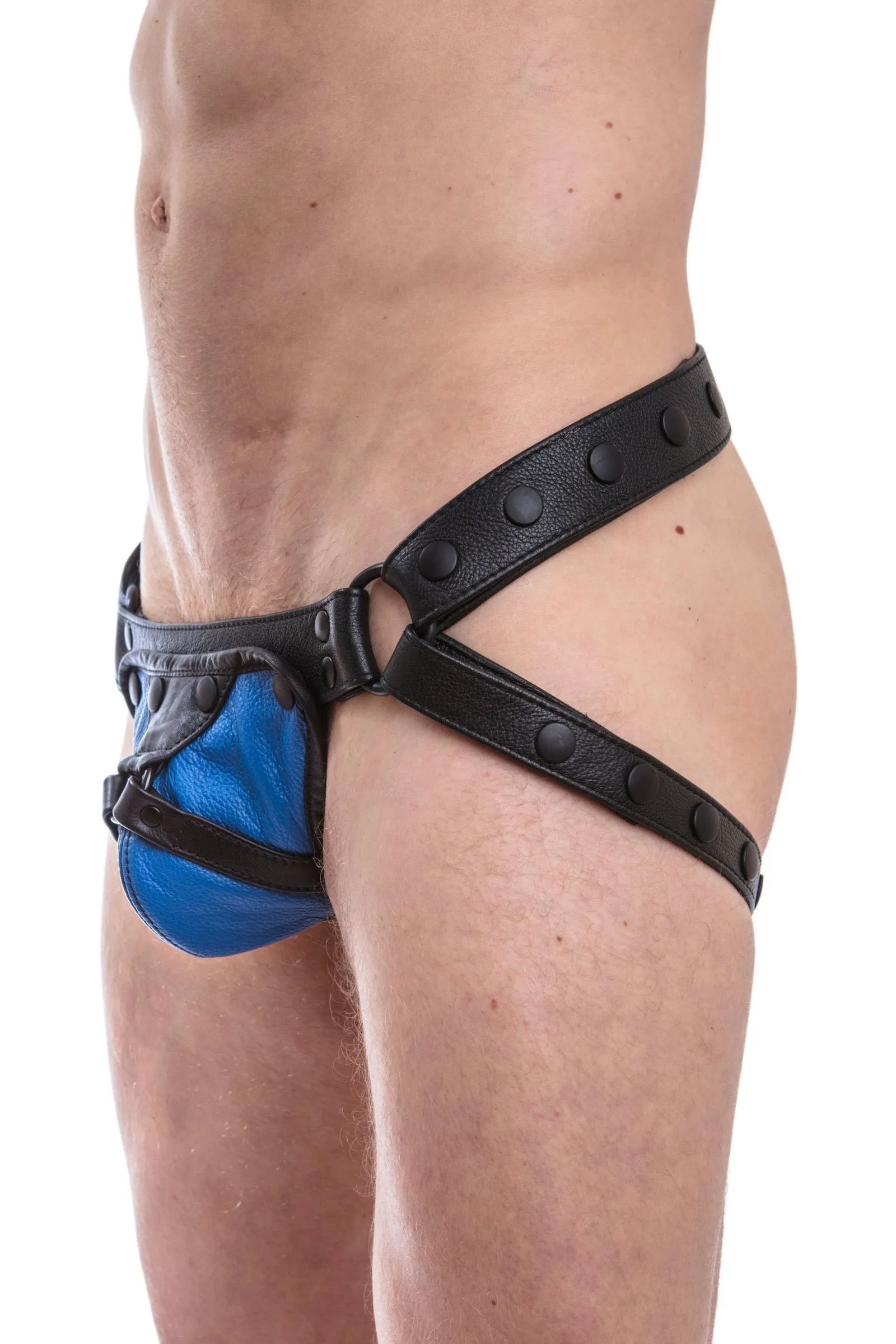 HARNESS JOCK - Colour 1.0