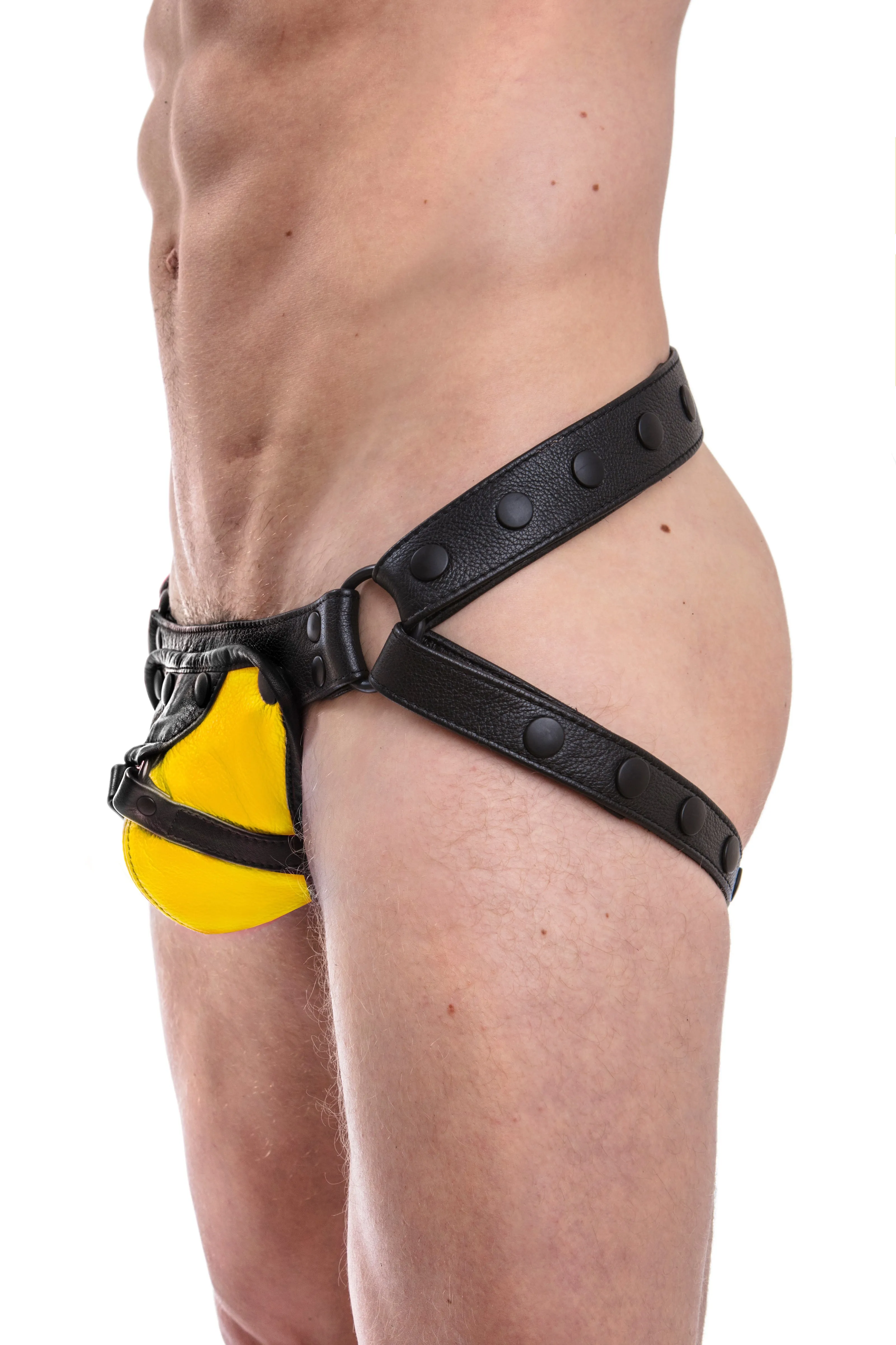HARNESS JOCK - Colour 1.0