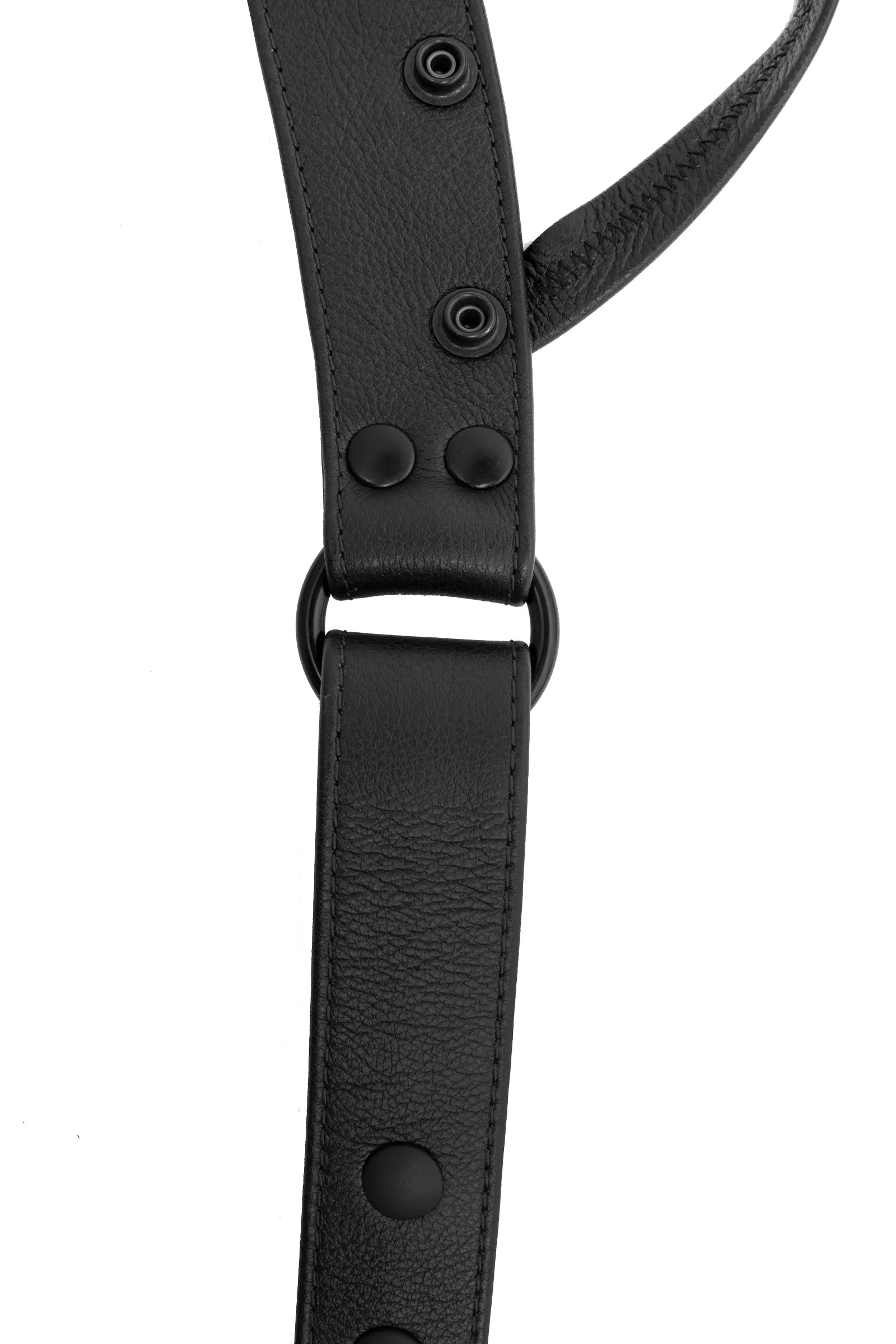 HARNESS THONG - Black
