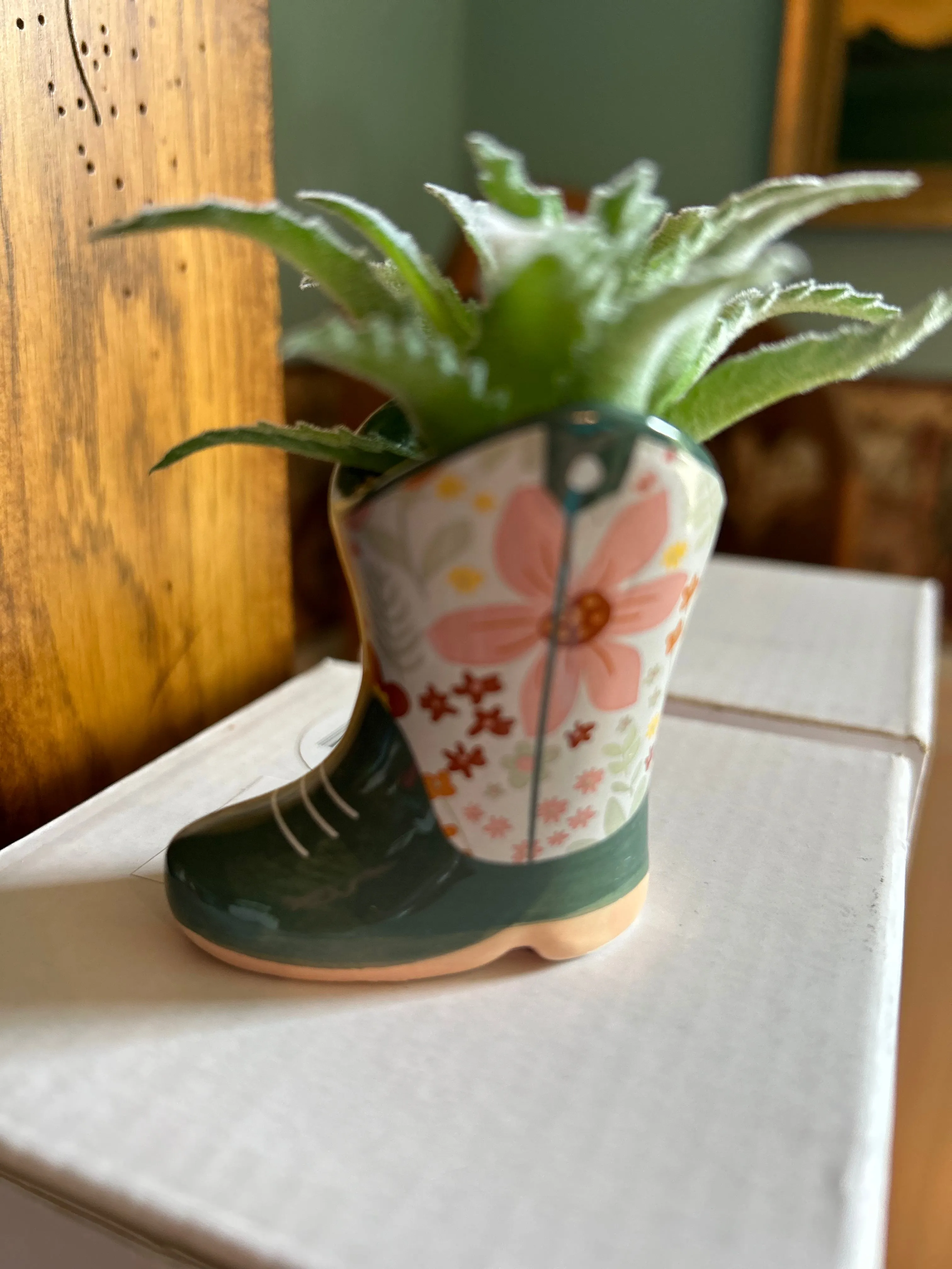 Karma - Succulents (Gina B’s)