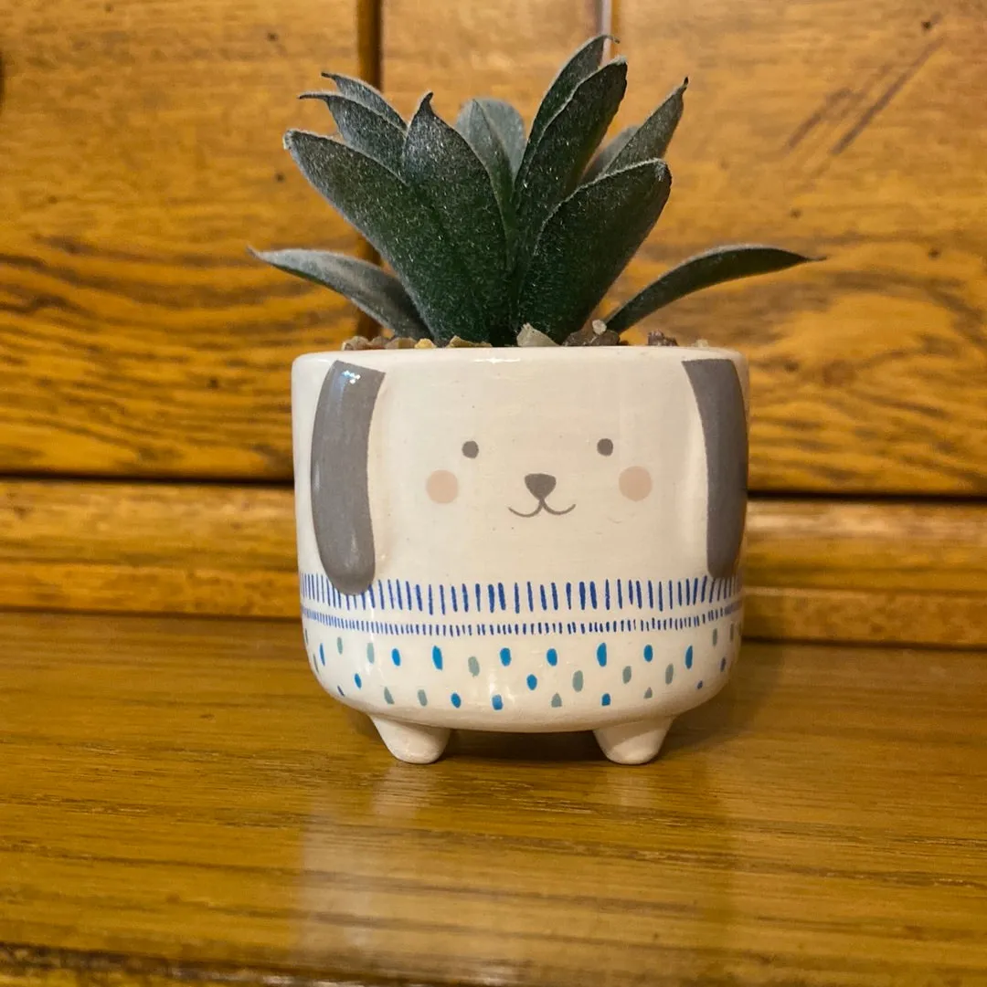 Karma - Succulents (Gina B’s)