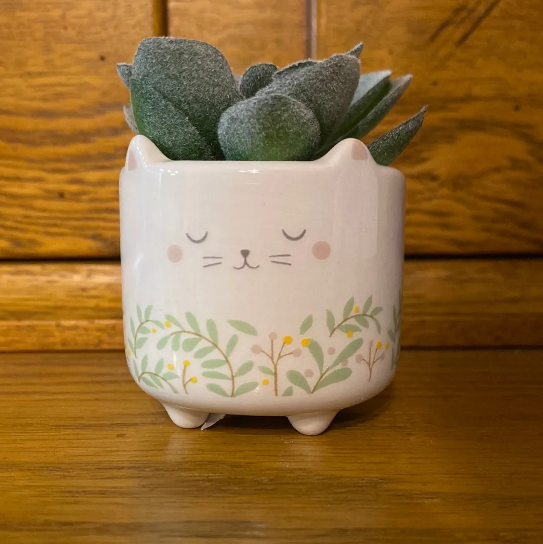 Karma - Succulents (Gina B’s)