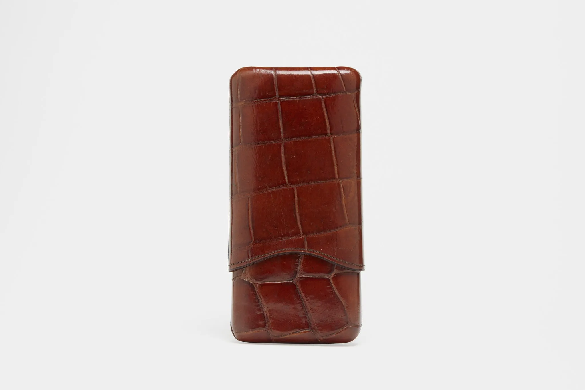 Large Scale Alligator Cigar Case