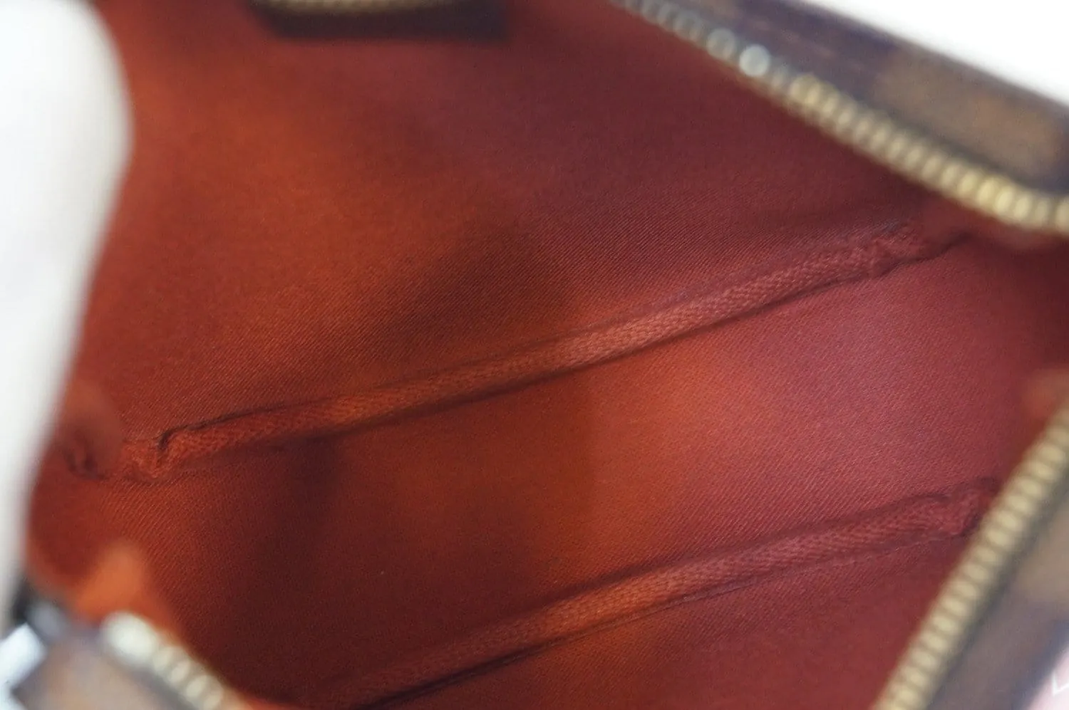 LOUIS VUITTON Damier Truth Makeup Pouch