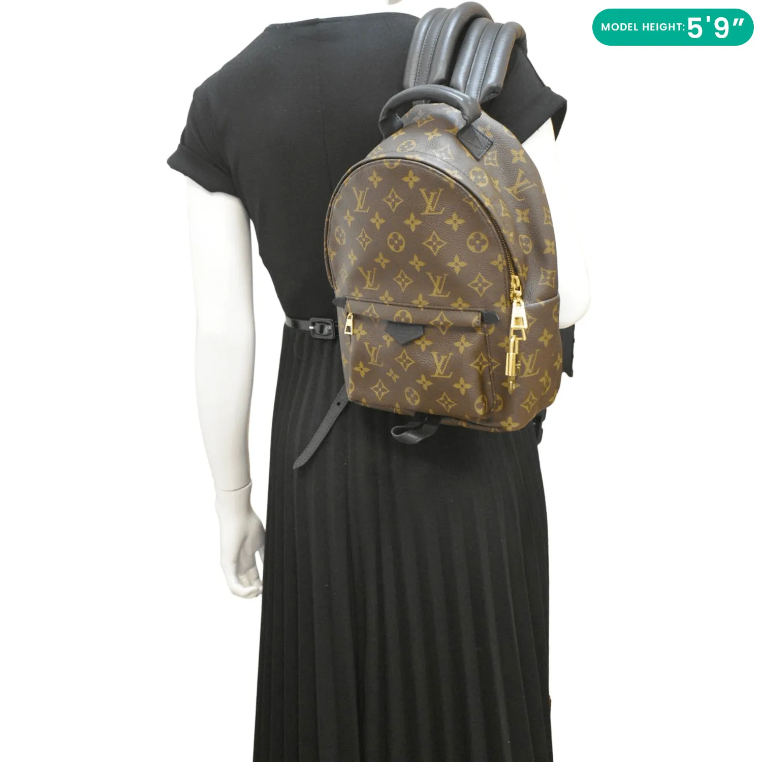 LOUIS VUITTON Palm Springs PM Monogram Canvas Backpack Brown