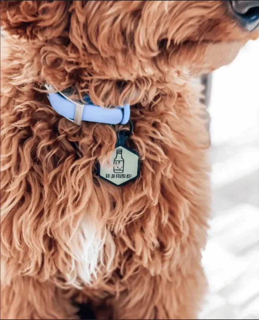 Mini Custom Design ID Tag