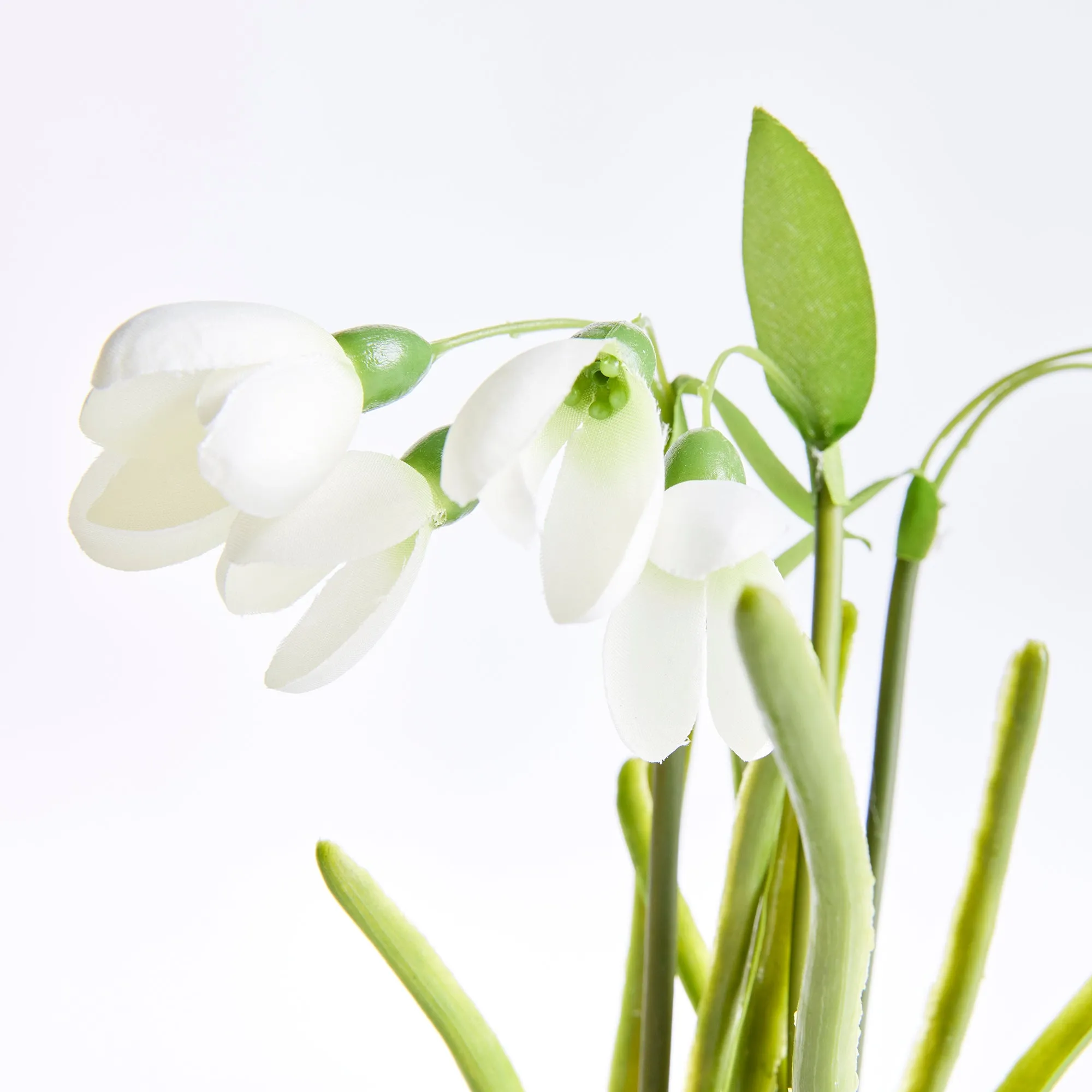 NAPA Home & Garden, SNOWDROP DROP-IN,N3GP10