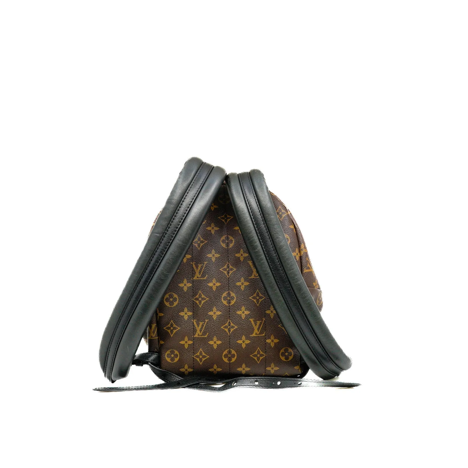 Palm Springs Backpack PM In Monogram Canvas GHW