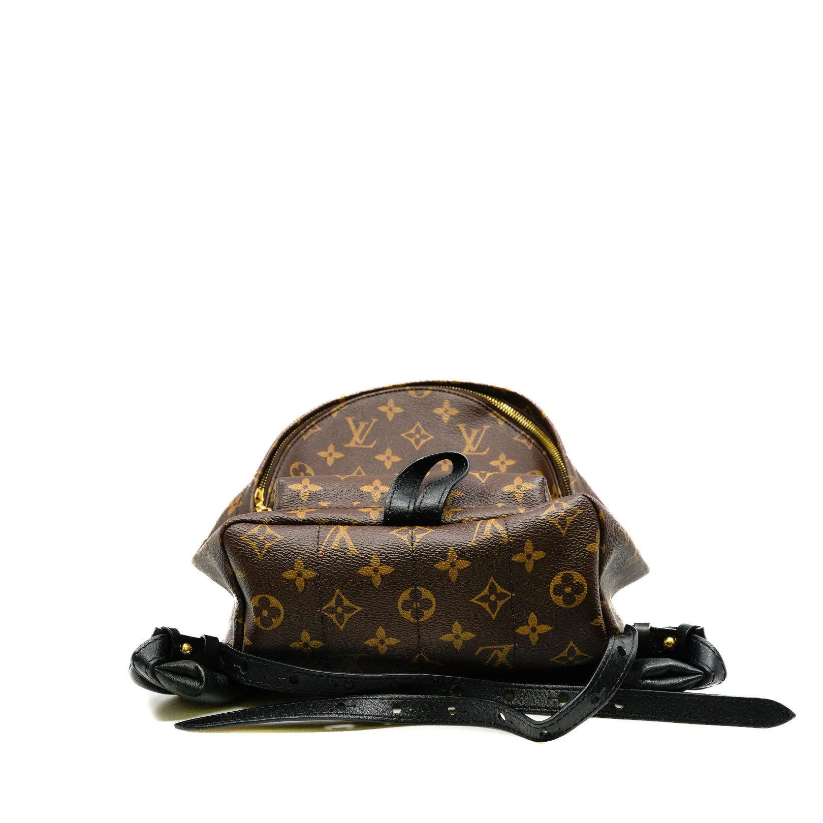 Palm Springs Backpack PM In Monogram Canvas GHW