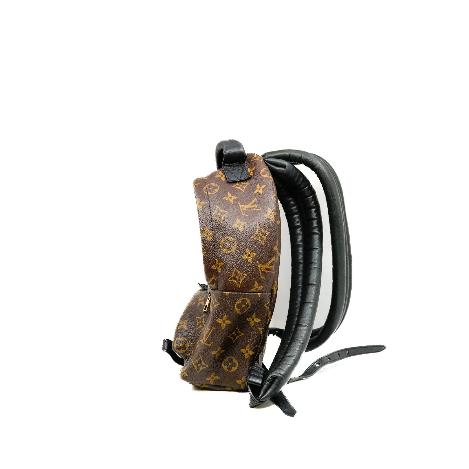 Palm Springs Backpack PM In Monogram Canvas GHW