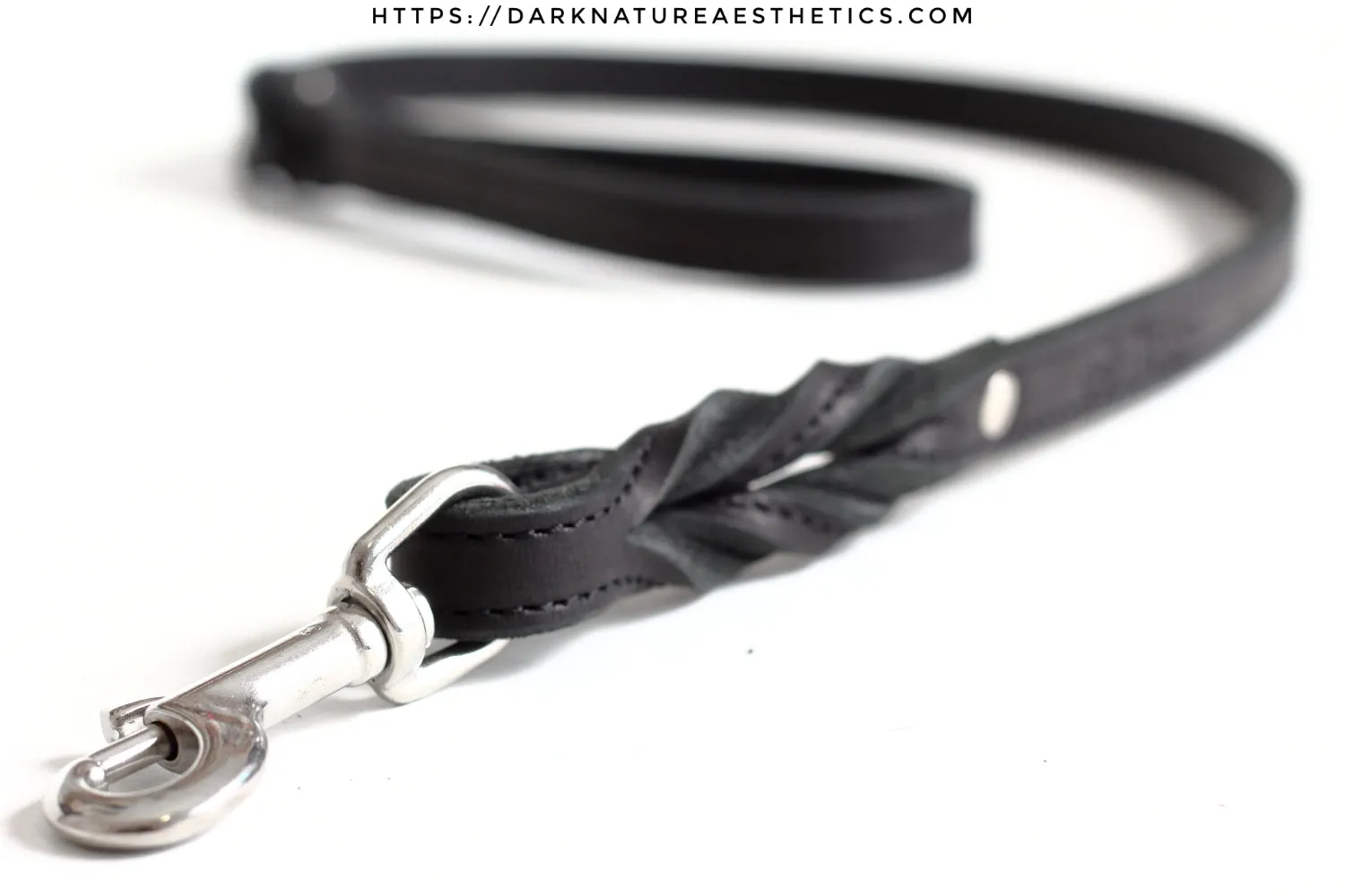 "Carnal Sins" BLACKout Leather Bondage Leash