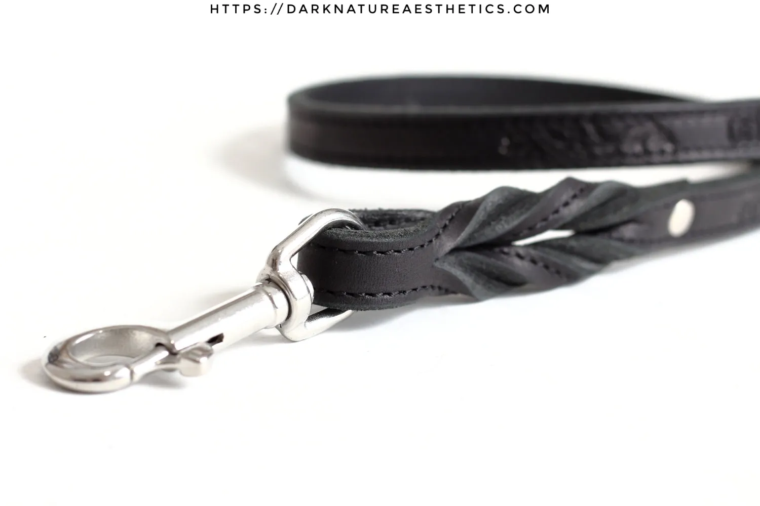 "Carnal Sins" BLACKout Leather Bondage Leash